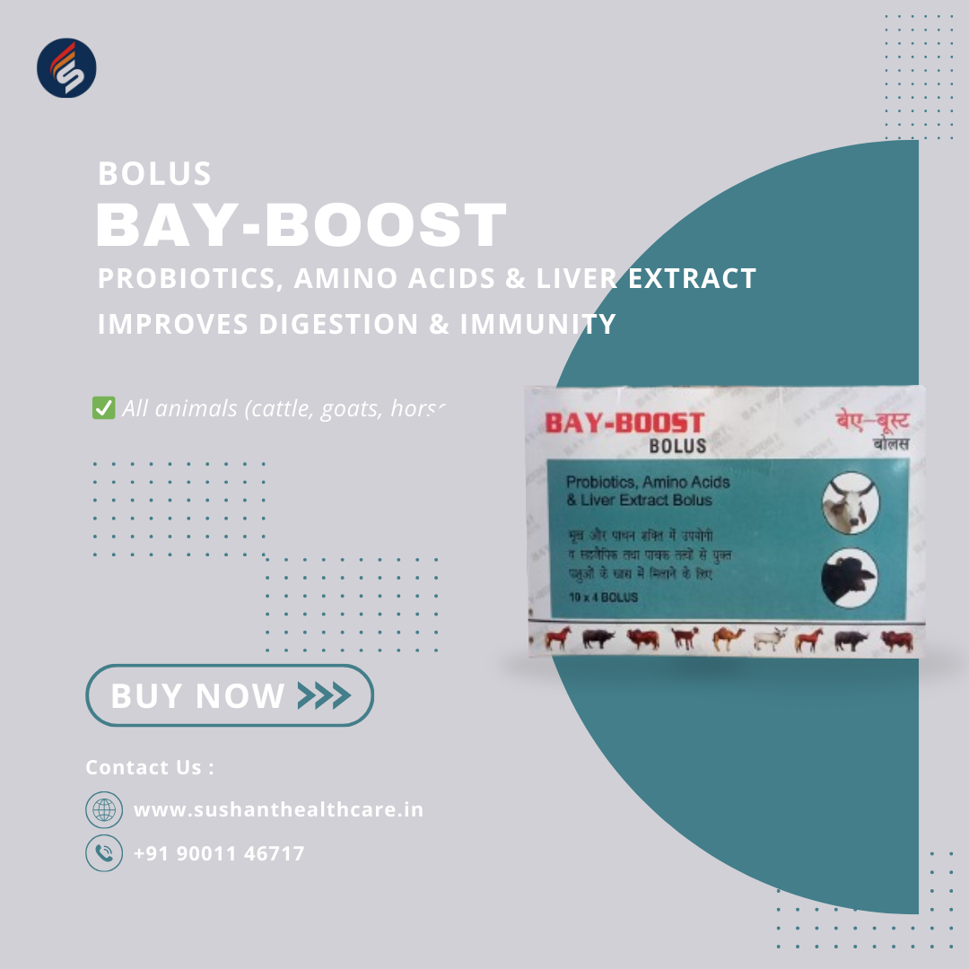 BAY-BOOST