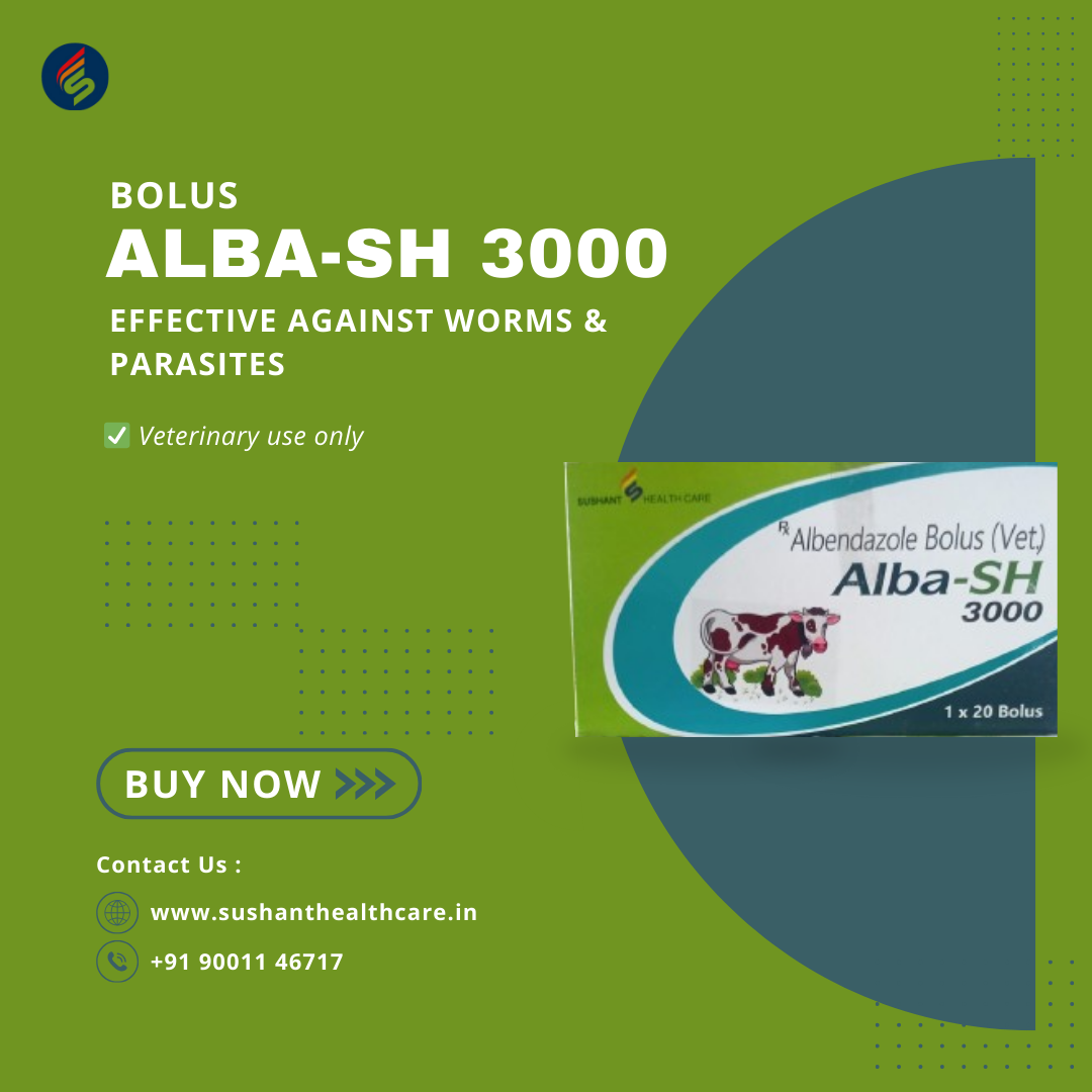 ALBA-SH 3000